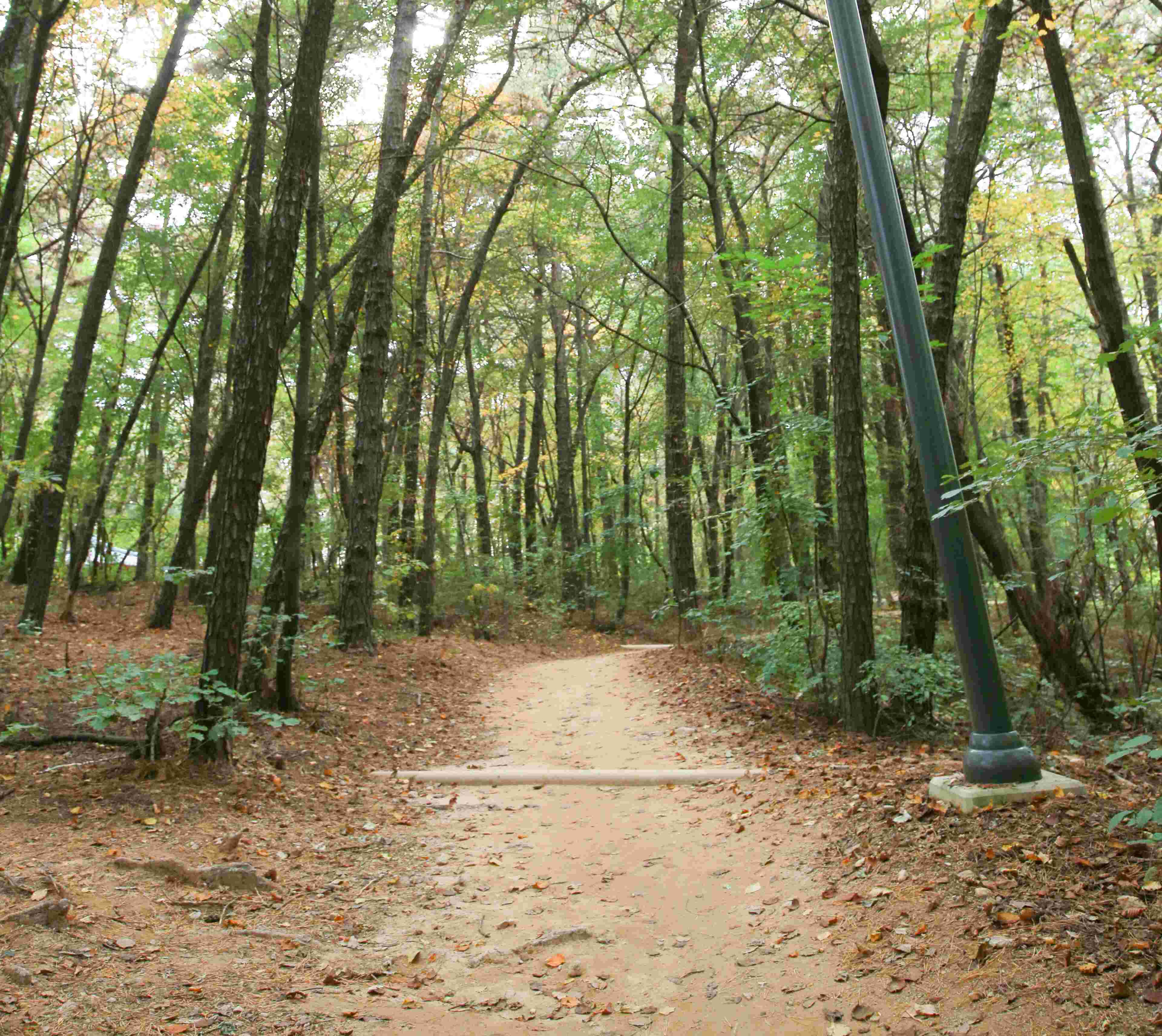 공원 산책로